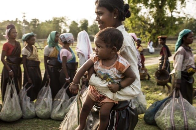 Here, Babita carries her 6 month old baby while picking tea leaves in the Tinkharia garden in Assam, India on April 8, 2015. Assam has the highest rate of women dying in childbirth in India, with 50,000 women dying in childbirth an pregnancy related causes each year countrywide. Every Mother Counts is working with Nazdeek to bring positive change to the tea garden workers in Assam and to mothers in Dehli, by using the power of law to secure access to lifesaving maternal healthcare. (Credit: Lynsey Addario)